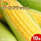 とうもろこし 10本