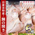 特産 たいの開き セット マダイ チダイ レンコダイ 5枚