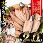 ふるさと納税 日置市 大きめ干物詰合せ 計2.0kg! 【みのだ食品】 No.406-A