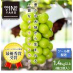ふるさと納税 南アルプス市 2026年秋収穫先行予約8月下旬〜発送 山梨県産シャインマスカット 1.4kg以上/箱 2房入