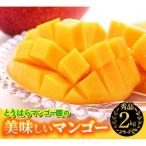 とうはらマンゴー園の美味しいマンゴー秀品 約2kg