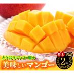 とうはらマンゴー園の美味しいマンゴー秀品