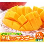 とうはらマンゴー園の美味しいマンゴー 約2kg