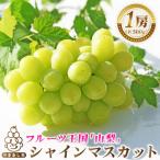 温室シャインマスカット 秀品 1房