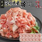 ふるさと納税 都城市 宮崎県産豚切り落とし3.0kg(真空)