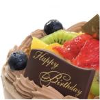 フルーツ生チョコクリームケーキ ベルギー産クーベルチュー…