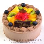 フルーツ生チョコクリームケーキ ベルギー産クーベルチュー…