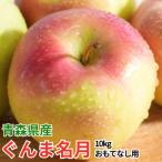 平均糖度13度以上 サンふじ 約10kg