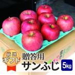 りんご 予定 平均糖度13度以上 サンふじ 約5kg