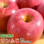 平均糖度13度以上 シナノスイート 約5kg