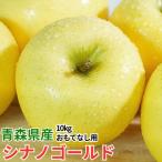 平均糖度13度以上 シナノゴールド 約10kg