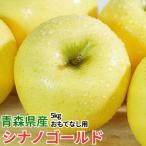 平均糖度13度以上 シナノゴールド 約5kg