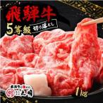 ふるさと納税 養老町 飛騨牛5等級　切り落とし用途いろいろ　1kg