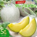 ふるさと納税 鶴岡市 産地直送!庄内砂丘グレースメロン 約5kg(3〜5玉)