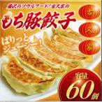 和豚もちぶた餃子60個とザーサイ1袋セット