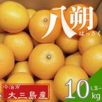 ショッピングふるさと納税 先行予約 ふるさと納税 今治市 【先行予約】大三島産 八朔　約10kg【K003210L10】
