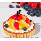 フルーツタルトケーキ 固定チョコプレート付き