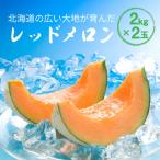 2027年産 赤肉メロン 約2kg×2玉
