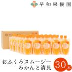 おふくろスムージーみかんと清見30本入り