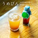 濃厚梅エキスと漢方のシロップ うめびん