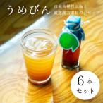 濃厚梅エキスと漢方のシロップ うめびん