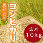 ふるさと納税 黒部市 令和7年産コシヒカリ一等米10kg 玄米