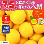 八朔 箱込7.5kg 内容量約6.8kg