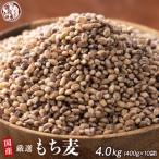 ふるさと納税 静岡市 雑穀米本舗 国産 もち麦 4kg(400g×10袋)ダイシモチ