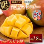 ふるさと納税 日南市 【期間限定】訳あり 宮崎県産 完熟マンゴー 約1.8kg