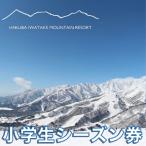 白馬岩岳スノーフィールド シーズン券