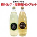 梅シロップ 完熟梅シロップ セット 1000ml×各1本