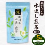 お湯でも水でもOK 水出し煎茶セット 5g×12パック