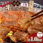 計1.6kg
