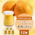 栽培期間中 農薬を使わず自家栽培した コリンキーかぼちゃ