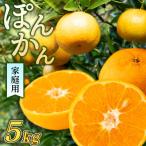 立目産 ポンカン 5kg
