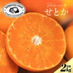 五代目が厳選した 柑橘の大トロ せとか 2kg