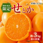 ショッピングせとか ふるさと納税 日南市 【先行予約】数量限定 柑橘の大トロ せとか 約3kg(化粧箱入り)