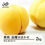 fu.... налог гора сторона блок предшествующий предварительный заказ иметь пакет желтый персик превосходящий товар товар вид случайный 2kg несессер ввод . мир 8 год производство Yamagata префектура производство ns-mootx2