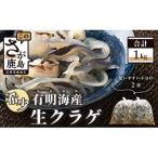 産計1000g生クラゲ