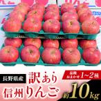ふるさと納税 長野県 【訳あり】長野県産 りんご 約10kg　品種おまかせ(1〜2種)シナノスイート・名月・サンふじ等