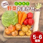 大村産とれたて野菜おまかせセット 5~6種類