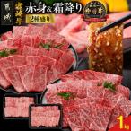 ふるさと納税 都城市 宮崎牛【赤身&霜降り】焼肉用2種セット【1kg】(都城市)