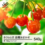 fu.... налог гора сторона блок [ предшествующий предварительный заказ ] вишня товар вид случайный превосходящий товар примерно 540g. мир 8 год производство tf-saos540