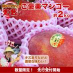 ふるさと納税 南城市 【先行予約】ご家庭用ご褒美アップルマンゴー　約2kg