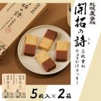 開拓の詩 三枚重ねチョコがけクッキー 5枚入り×2箱