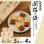 開拓の詩 三枚重ねチョコがけクッキー 5枚入り×4箱