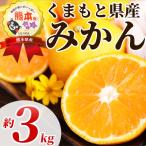 温州みかん 2S-2L 約3kg