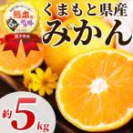 温州みかん 約5kg