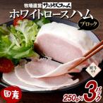 熨斗 ホワイトロースハム ブロック 250g×3