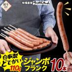 熨斗 ジャンボフランクフルト110g×10本
